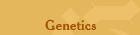 Genetics